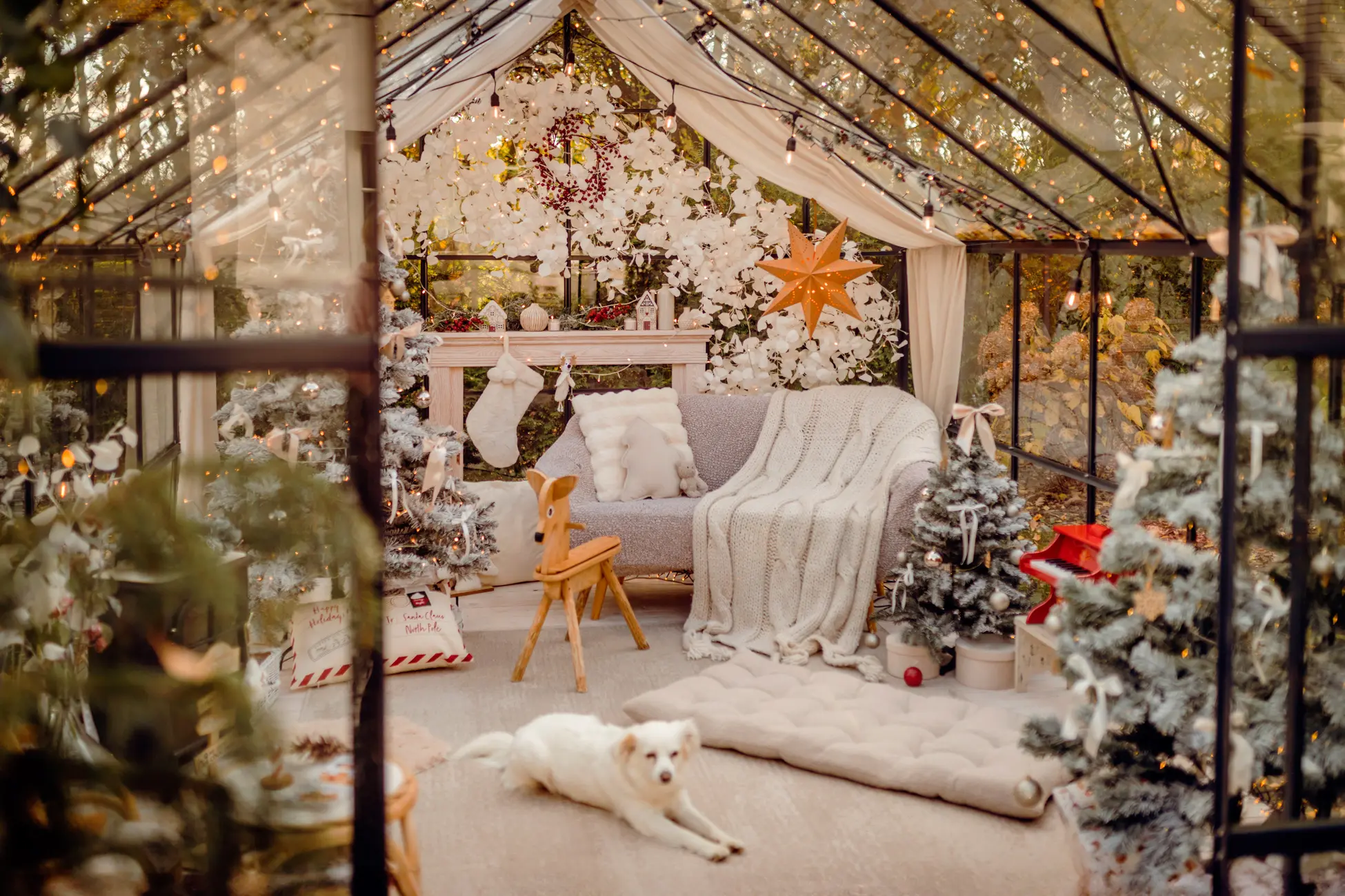 Szklarnia do sesji fotograficznej Katowice